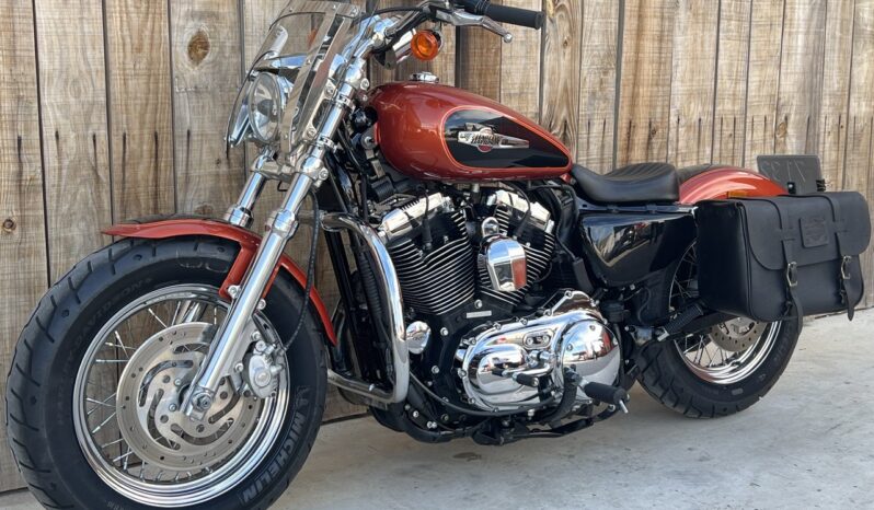 HARLEY DAVIDSON XL1200 CUSTOM CB lleno