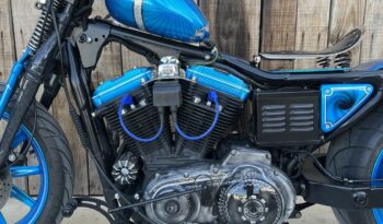 HARLEY DAVIDSON XL883 LADY BLUE lleno