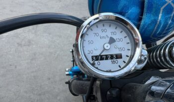 HARLEY DAVIDSON XL883 LADY BLUE lleno