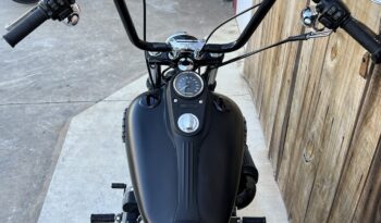 HARLEY DAVIDSON DYNA STREET BOB 103 lleno