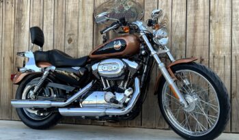 HARLEY DAVIDSON XL1200 CUSTOM 105TH lleno