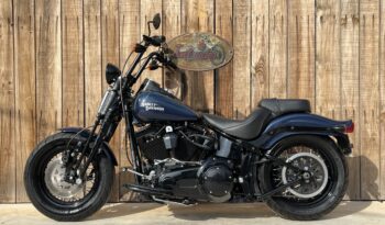 HARLEY DAVIDSON SOFTAIL CROSS BONES lleno