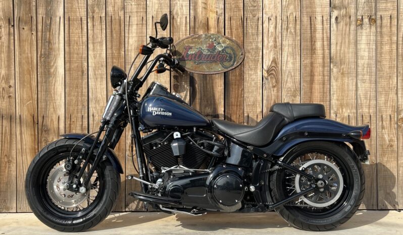 HARLEY DAVIDSON SOFTAIL CROSS BONES lleno