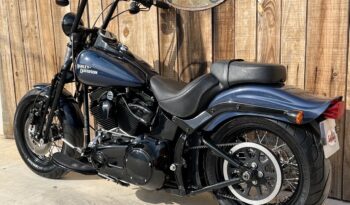 HARLEY DAVIDSON SOFTAIL CROSS BONES lleno