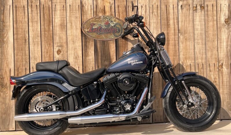 HARLEY DAVIDSON SOFTAIL CROSS BONES lleno