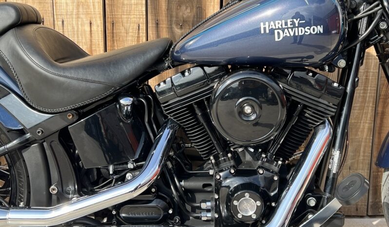 HARLEY DAVIDSON SOFTAIL CROSS BONES lleno