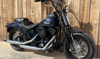 HARLEY DAVIDSON SOFTAIL CROSS BONES lleno