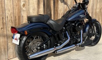 HARLEY DAVIDSON SOFTAIL CROSS BONES lleno