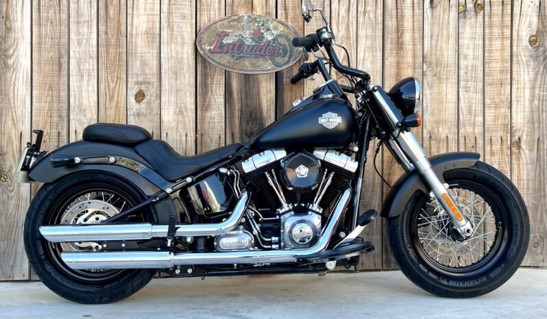 HARLEY DAVIDSON SOFTAIL SLIM S lleno