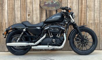 HARLEY DAVIDSON XL883 IRON lleno