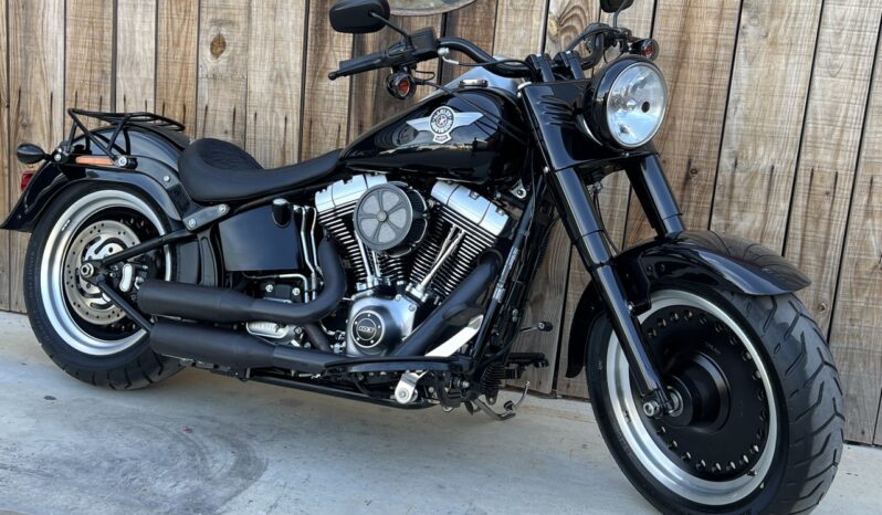 HARLEY DAVIDSON FAT BOY SPECIAL lleno