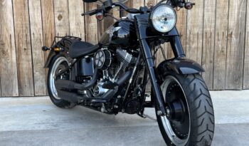 HARLEY DAVIDSON FAT BOY SPECIAL lleno