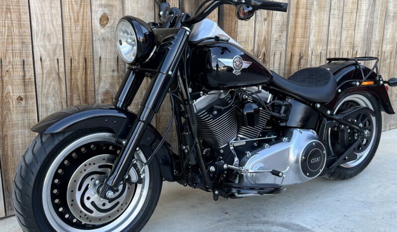 HARLEY DAVIDSON FAT BOY SPECIAL lleno