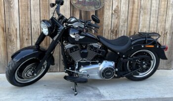 HARLEY DAVIDSON FAT BOY SPECIAL lleno