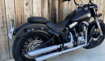 HARLEY DAVIDSON SOFTAIL SLIM S lleno