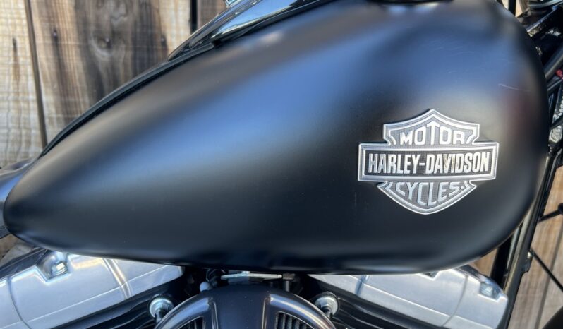 HARLEY DAVIDSON SOFTAIL SLIM S lleno