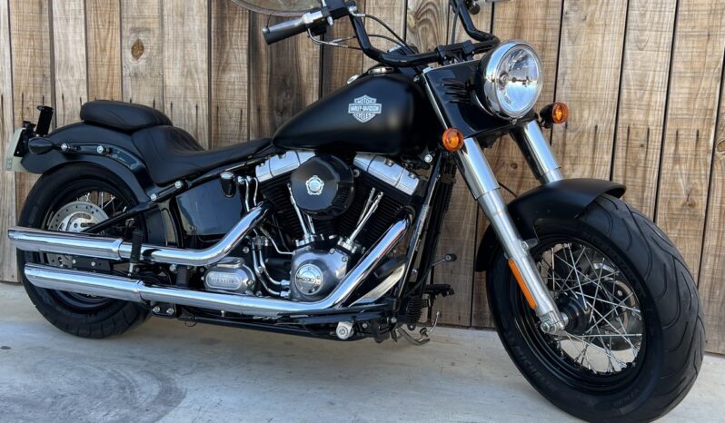 HARLEY DAVIDSON SOFTAIL SLIM S lleno