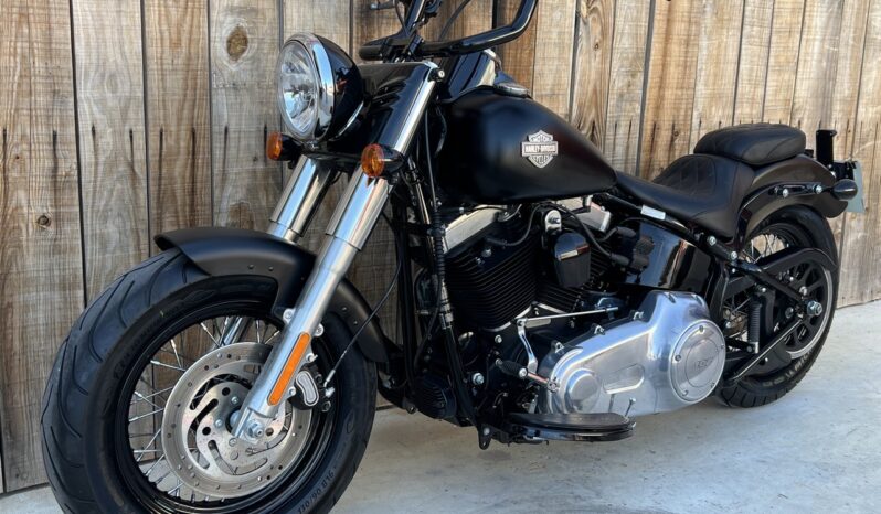 HARLEY DAVIDSON SOFTAIL SLIM S lleno