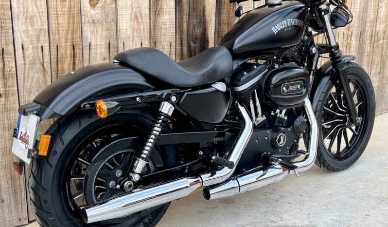 HARLEY DAVIDSON XL883 IRON lleno