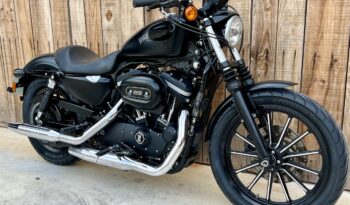 HARLEY DAVIDSON XL883 IRON lleno