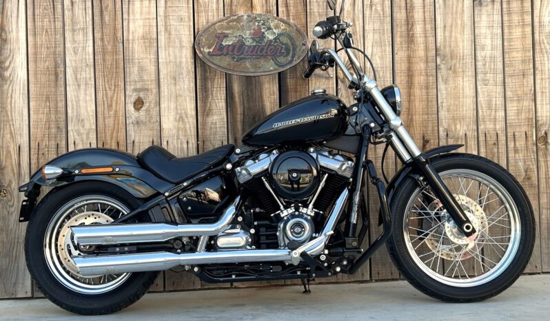 HARLEY DAVIDSON SOFTAIL STANDARD lleno