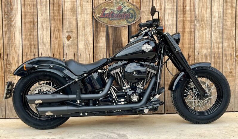 HARLEY DAVIDSON SOFTAIL SLIM 110 lleno