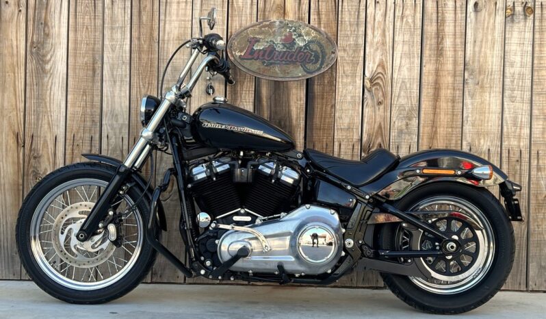 HARLEY DAVIDSON SOFTAIL STANDARD lleno