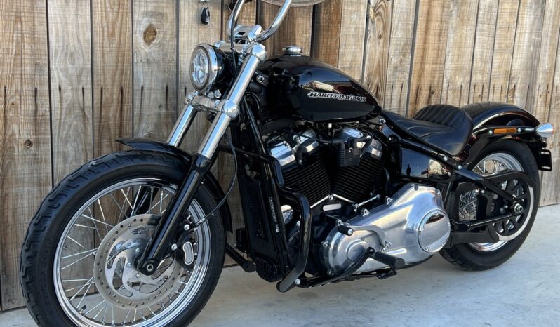 HARLEY DAVIDSON SOFTAIL STANDARD lleno