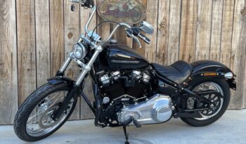 HARLEY DAVIDSON SOFTAIL STANDARD lleno