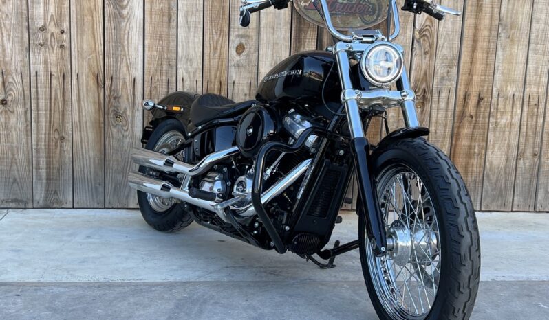 HARLEY DAVIDSON SOFTAIL STANDARD lleno