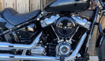 HARLEY DAVIDSON SOFTAIL STANDARD lleno