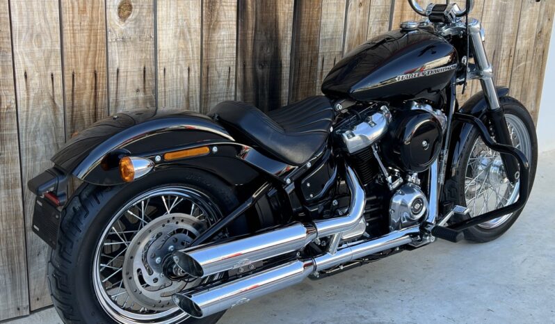 HARLEY DAVIDSON SOFTAIL STANDARD lleno