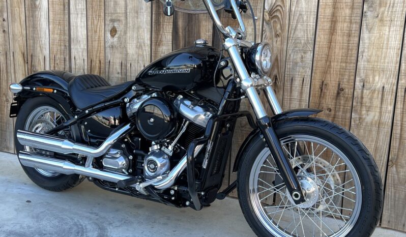 HARLEY DAVIDSON SOFTAIL STANDARD lleno