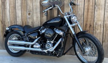 HARLEY DAVIDSON SOFTAIL STANDARD lleno