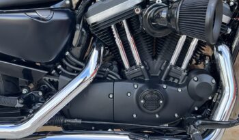 HARLEY DAVIDSON XL883 IRON lleno