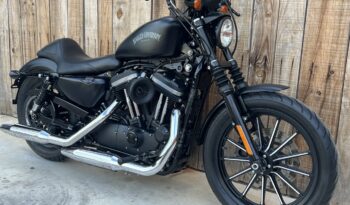 HARLEY DAVIDSON XL883 IRON lleno