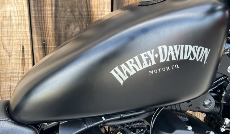 HARLEY DAVIDSON XL883 IRON lleno