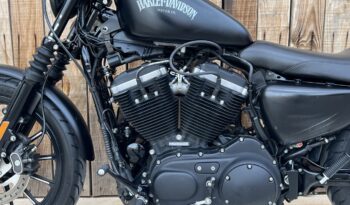 HARLEY DAVIDSON XL883 IRON lleno