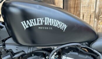 HARLEY DAVIDSON XL883 IRON lleno