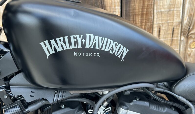 HARLEY DAVIDSON XL883 IRON lleno