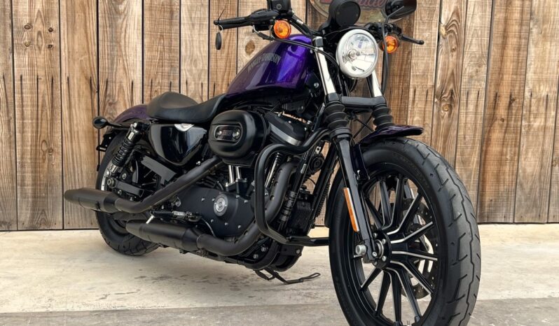 HARLEY DAVIDSON XL883 IRON MF lleno