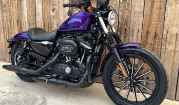 HARLEY DAVIDSON XL883 IRON MF lleno