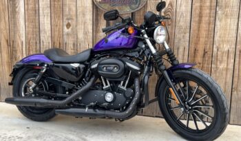 HARLEY DAVIDSON XL883 IRON MF lleno