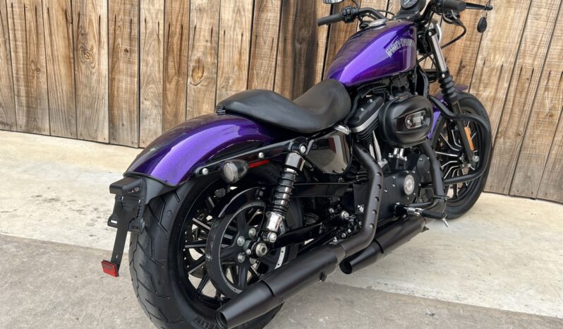 HARLEY DAVIDSON XL883 IRON MF lleno