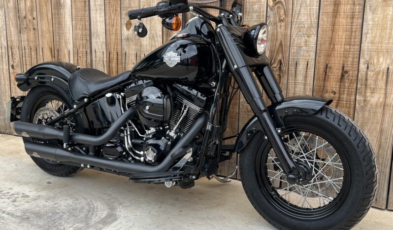 HARLEY DAVIDSON SOFTAIL SLIM 110 lleno