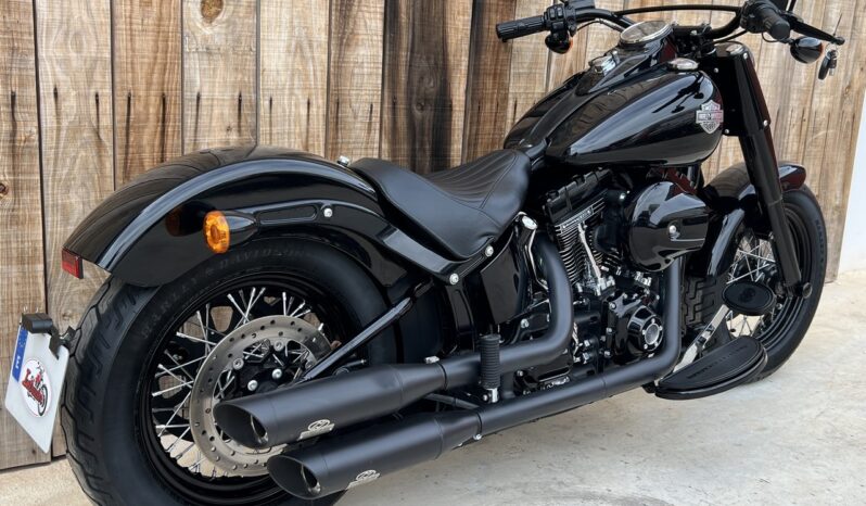 HARLEY DAVIDSON SOFTAIL SLIM 110 lleno