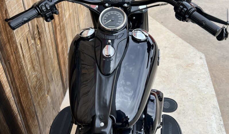 HARLEY DAVIDSON SOFTAIL SLIM 110 lleno