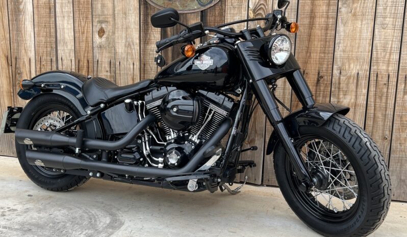 HARLEY DAVIDSON SOFTAIL SLIM 110 lleno