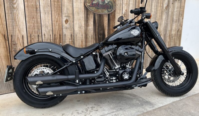 HARLEY DAVIDSON SOFTAIL SLIM 110 lleno