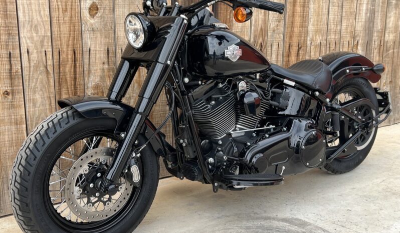 HARLEY DAVIDSON SOFTAIL SLIM 110 lleno